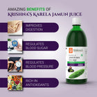 Karela Jamun Neem Juice